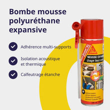 Bombe mousse polyuréthane expansive Storaxo