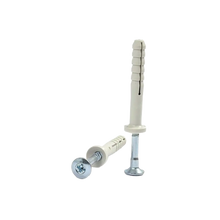 Cheville à Frapper 6x40 mm Storaxo